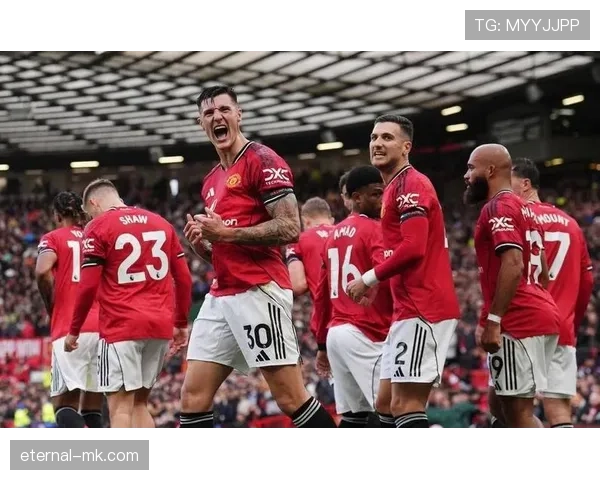 B费助球队逆转取胜,状态火热引关注 B费助球队逆转取胜,状态火热引关注