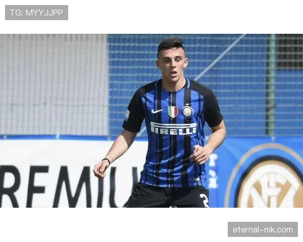 雷吉纳未来规划聚焦青训建设与意乙竞争力提升 雷吉纳未来规划聚焦青训建设与意乙竞争力提升